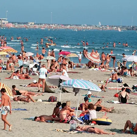 Voilier Au Cap D'Agde * 아그
